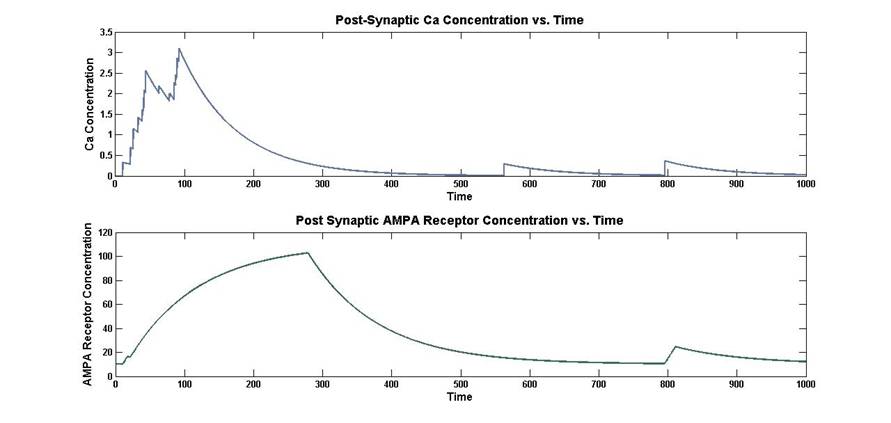 calcium and synaptic strength.jpg